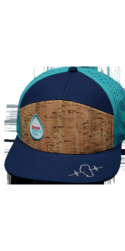 Custom Example 5 Panel 08