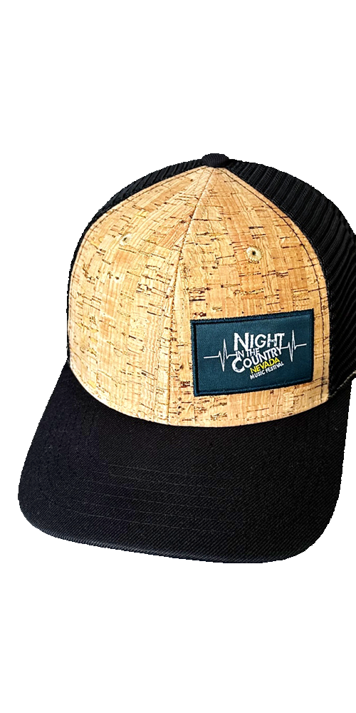 Custom Example 6 Panel 01