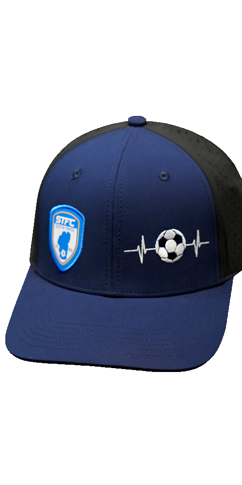 Custom Example 6 Panel 02