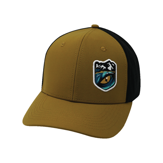 Custom Example 6 Panel 08