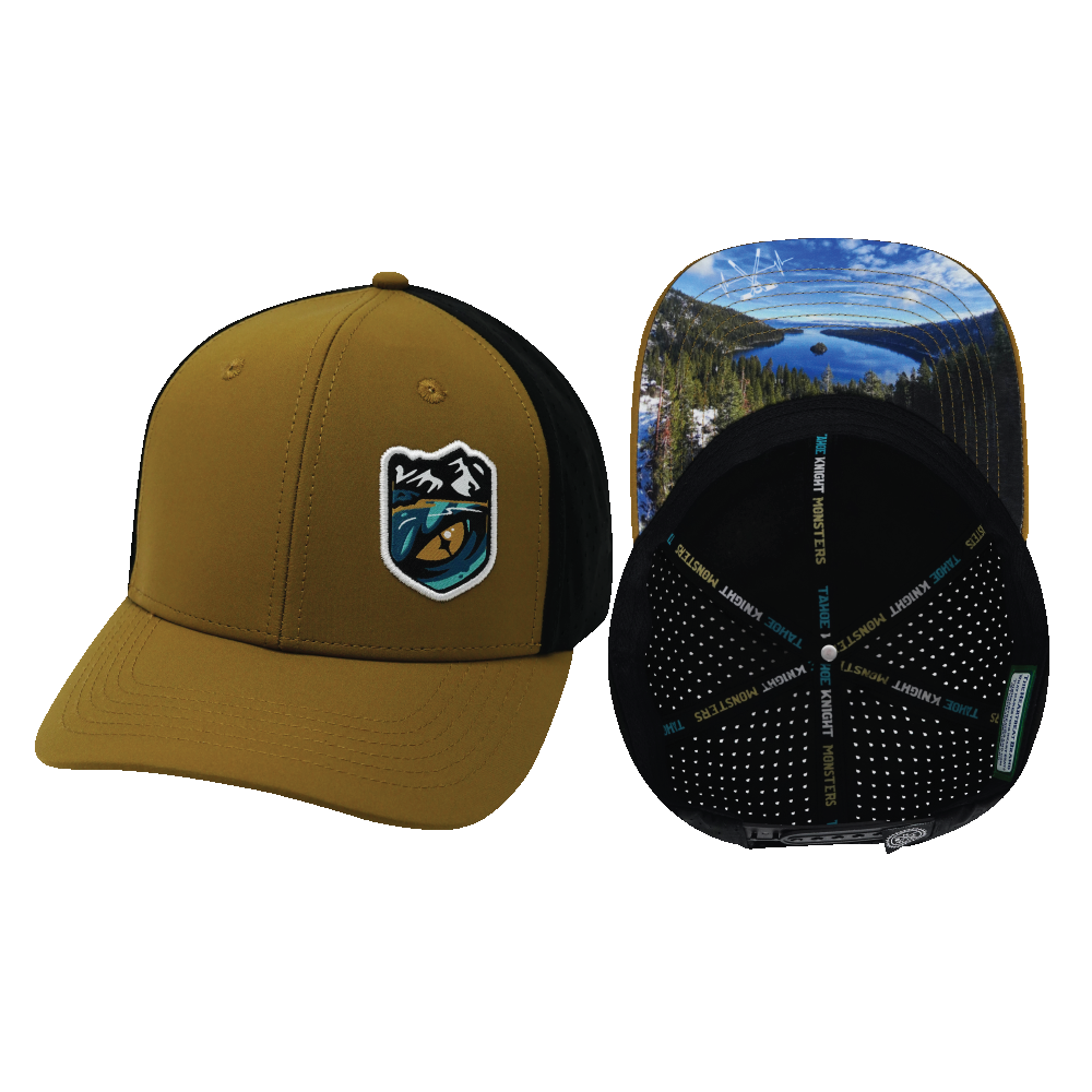 Custom Example 6 Panel 09
