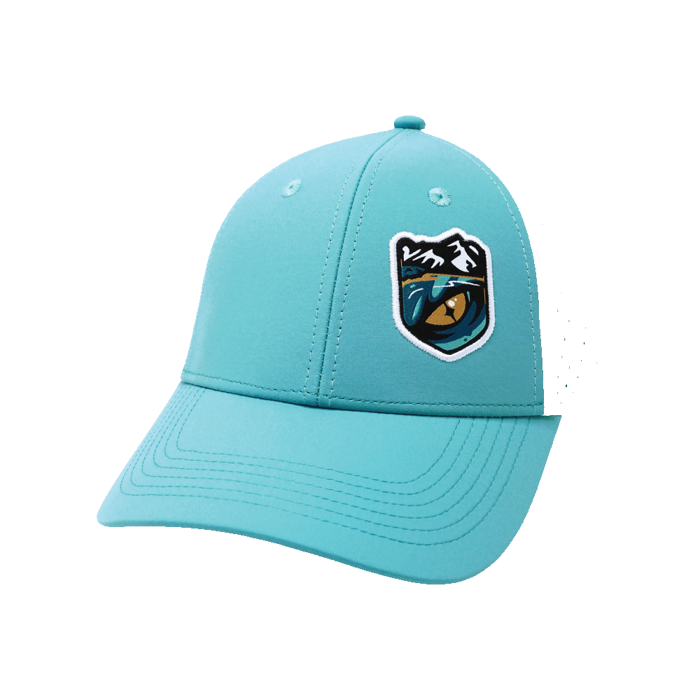 Custom Example 6 Panel 16