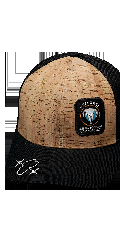 Custom Example 6 Panel 22