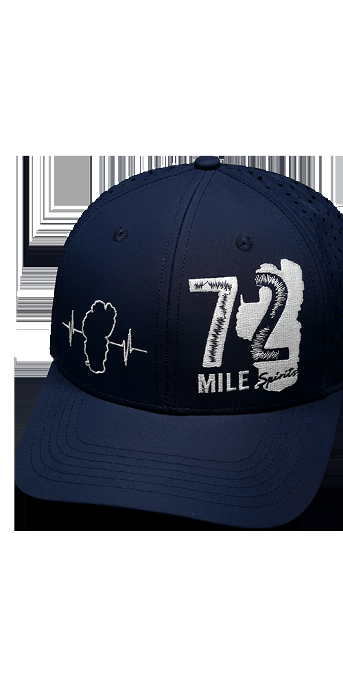 Custom Example 6 Panel 31